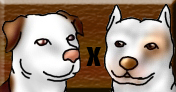 breed3.jpg